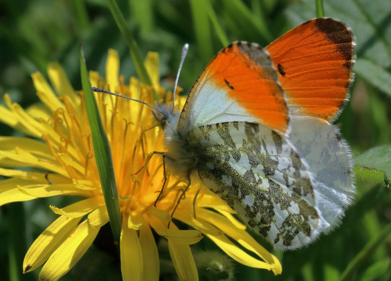 One of the joys of gardening is connecting with others